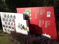 -南翔镇银翔湖公园
