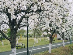 -国际非物质文化遗产博览园