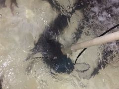 -静和鱼庄