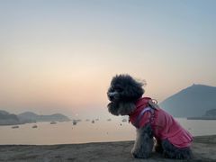 -乌石塘景区