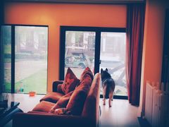 -太阳岛度假酒店