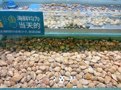 -東盛炭烤自助料理(浦东文峰广场店)