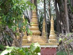 景点-瑞丽独树成林风景区