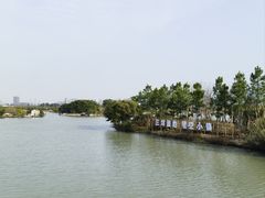 -三垟湿地