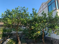 -东钱湖小普陀景区