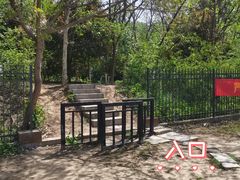 -紫金山山顶公园