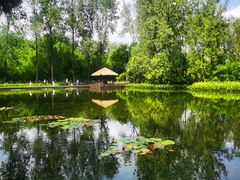 -溱湖国家湿地公园