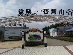 -紫颐香薰山谷景区