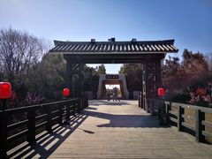 -合肥三国新城遗址公园