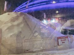 -沈阳奥体冰雪嘉年华