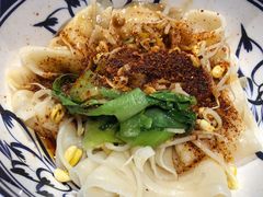 油泼面-山丹丹西北菜(金贸大厦店)