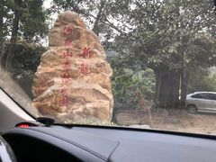 -黄埔油麻山森林公园