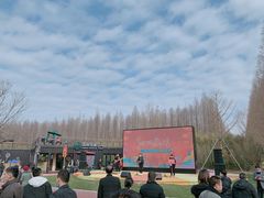 -黄海国家森林公园