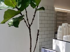 -Onirii Coffee(长乐路店)