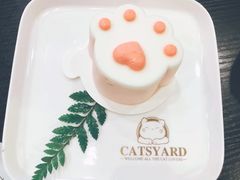 -猫小院猫主题咖啡厅(北锣店)