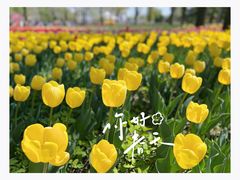 -国家植物园
