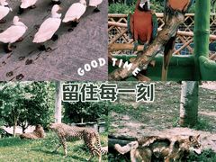 -北京野生动物园