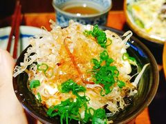 日本冷豆腐-熊藏居酒屋(kkone店)