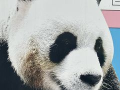 -栾川竹海野生动物园