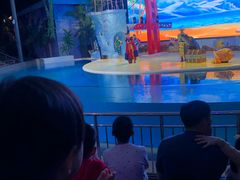 -三亚海昌梦幻海洋不夜城