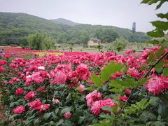 -龙寺生态园