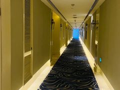 -长安先导国际创新人才交流中心