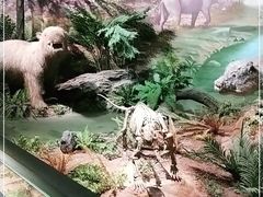 -湖南省地质博物馆