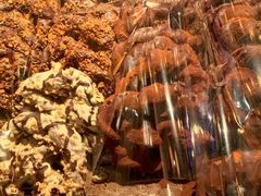 -B&C黄油与面包·THE GARDEN BAKERY概念店(世纪汇店)