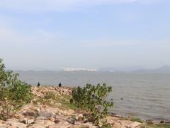 -深圳湾公园(南山区)