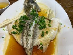 清蒸海鲈鱼-梧桐庄园