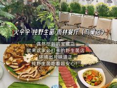-西双版纳原始森林公园