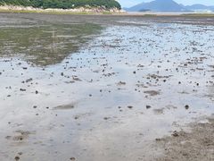 -花岙岛