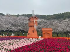 -苏州上方山国家森林公园
