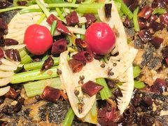 -老板恋上鱼(恒隆广场店)