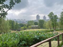 -沐仙湖湿地公园