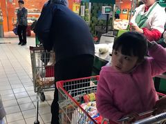 -家乐福会员店(南翔店)