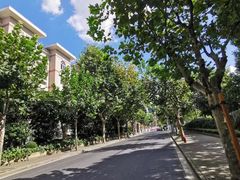 -上海市长阳实验学校