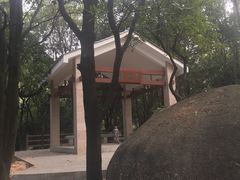 -火炉山森林公园