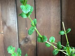 -唤醒你(国兴大厦店)