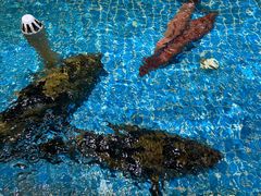 -皮记海鲜1995(寮步店)