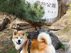 -白水寺森林公园