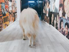 -肆兮眼镜·蔡司·徕卡战略合作店(大坪店)