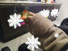 -海底捞火锅(锦艺城店)