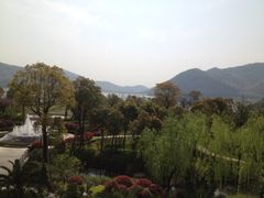 树们-宁波九龙湖开元度假村