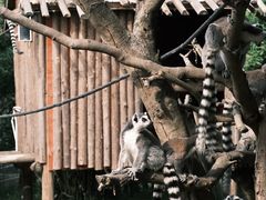 -宁波野生动物园
