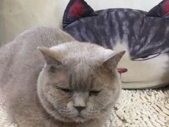 -小时光咖啡馆(北锣鼓巷店)