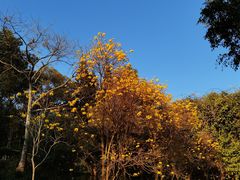 -广州市白云山风景名胜区