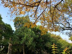 -汇龙潭