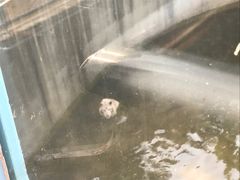 -无锡动物园·太湖欢乐园