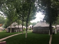 -九十九顶毡房(阜石路店)